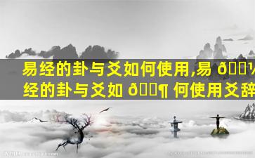 易经的卦与爻如何使用,易 🌼 经的卦与爻如 🐶 何使用爻辞